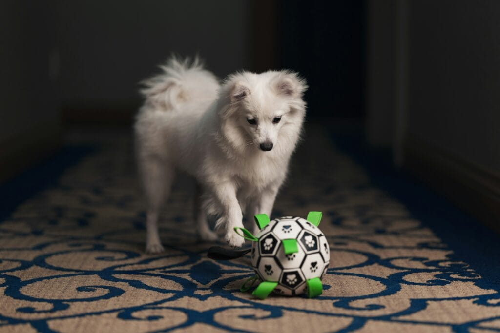 Bestselling Pet Products 17 5 1024x683