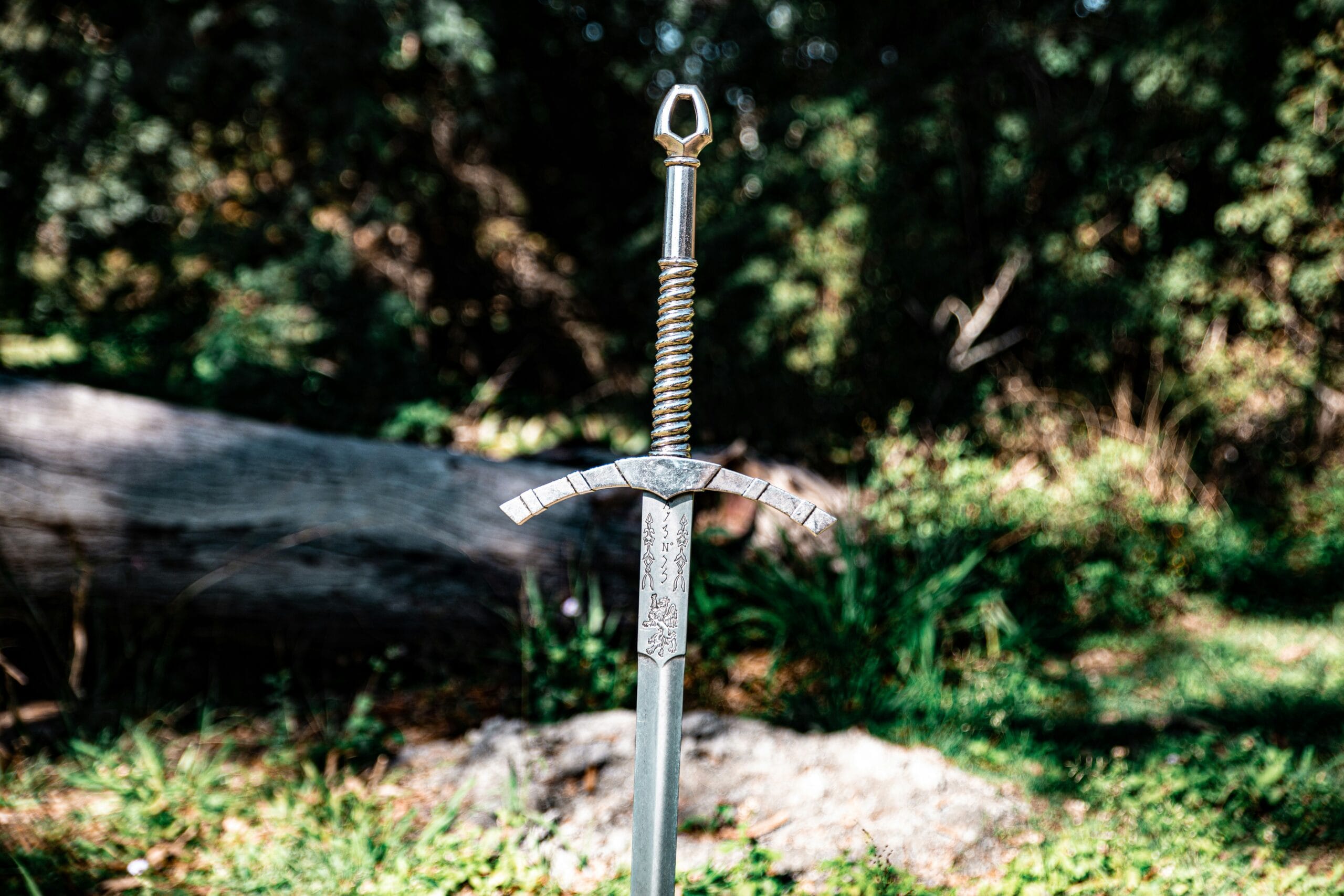 Traditional Chinese Swords 18 20 Scaled