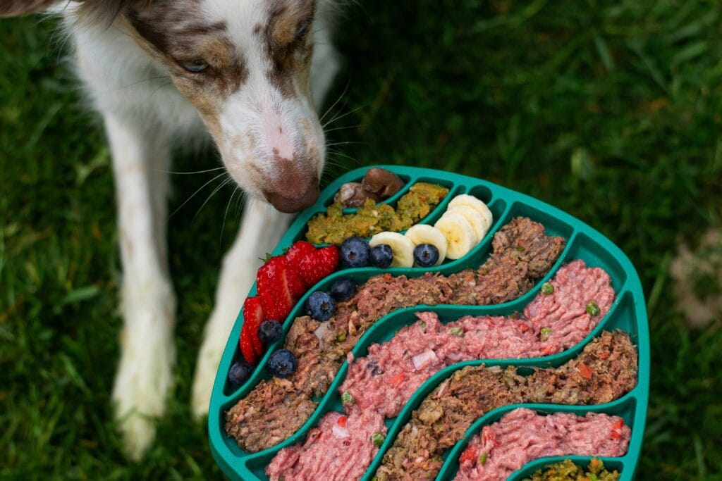 Bestselling Pet Products 18 23 1024x683