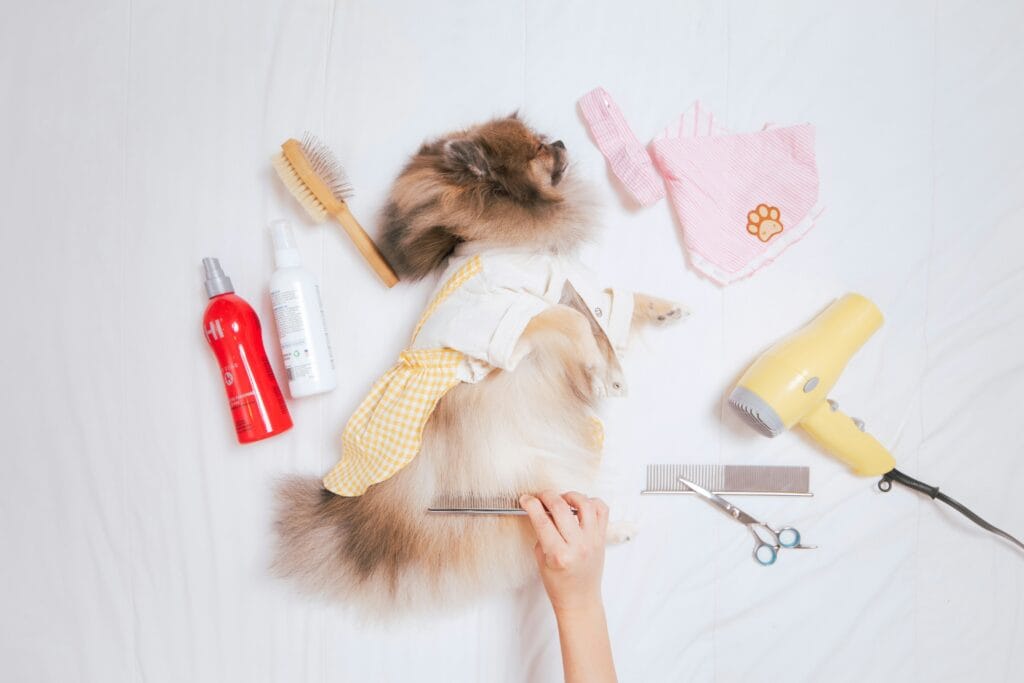 Pet Products 2 13 1024x683