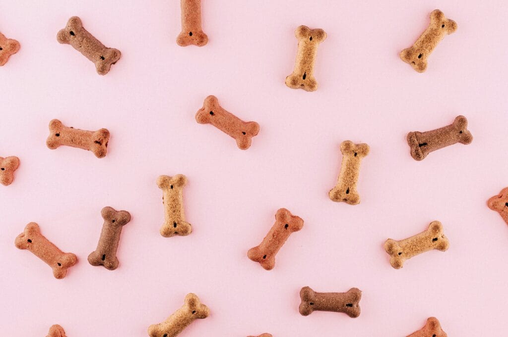 Pet Food 2 14 1024x681