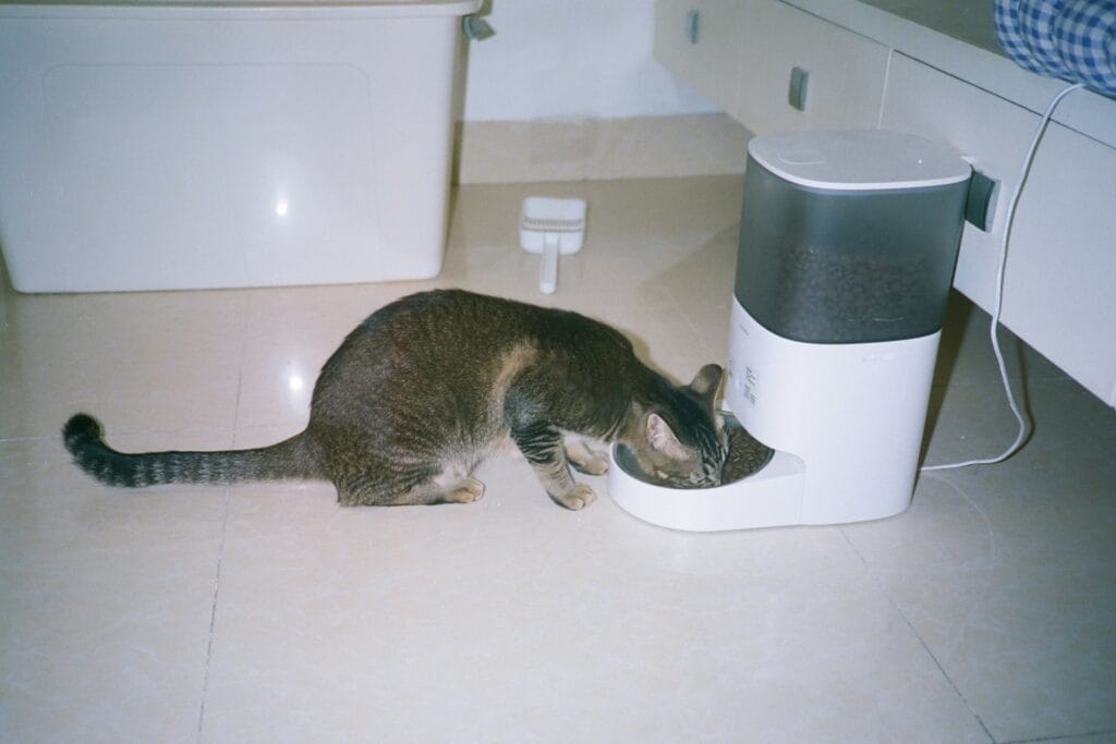 Smart Pet Products 2 18 1024x683