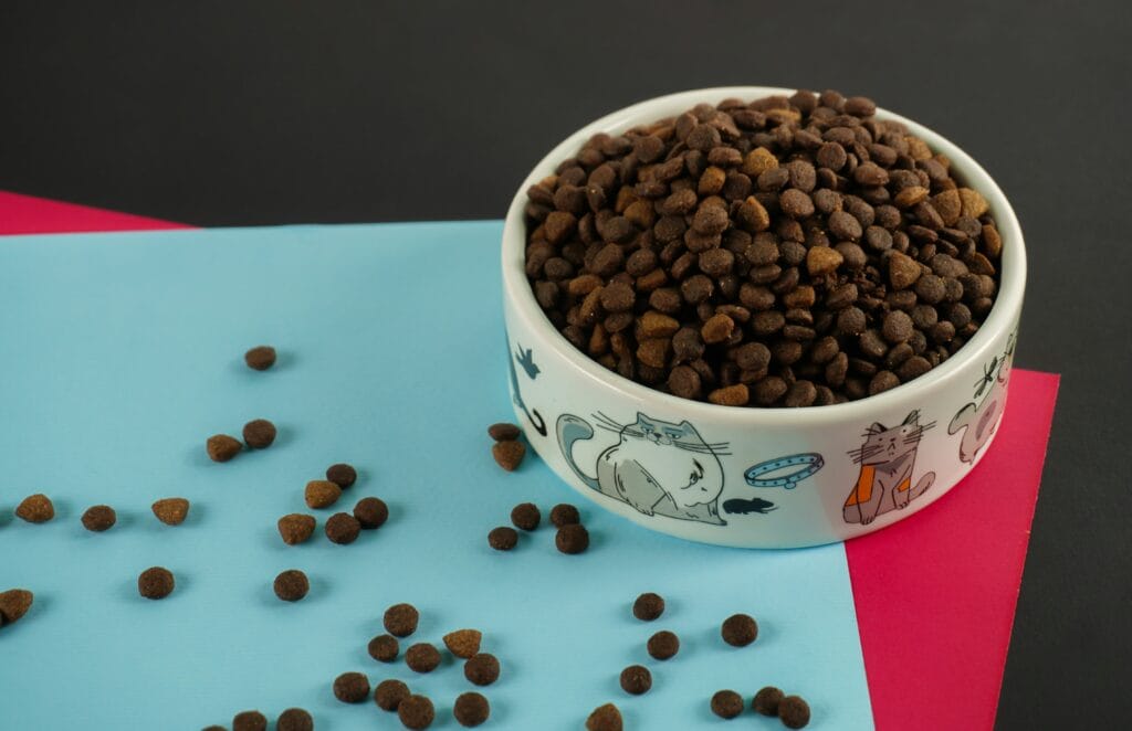 Bestselling Pet Products 21 8 1024x662