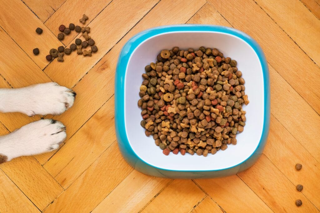 Bestselling Pet Products 5 27 1024x683