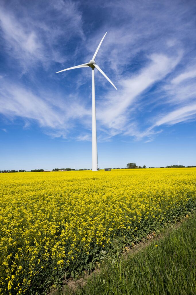 Bestselling New Energy Products 8 5 683x1024